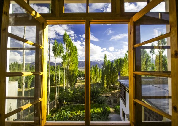 Cost of Wood Window Replacement in Eau Claire