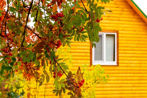 Cost of Garden Window Replacement in Eau Claire